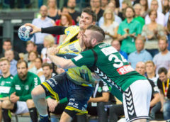 Andy Schmid und Alen Milosevic - SC DHfK Leipzig vs. Rhein-Neckar Löwen - Handball Bundesliga - Foto: Karsten Mann