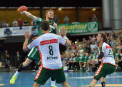 SC DHfK Leipzig vs. HSG Wetzlar - Handball Bundesliga - Foto: Rainer Justen