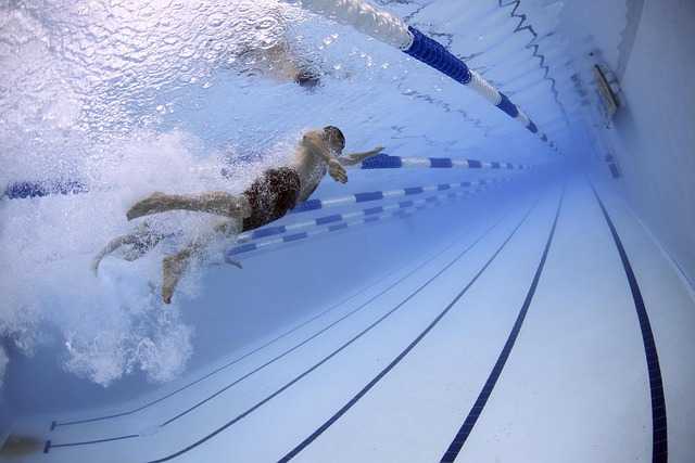 Schwimmen - Schwimm-WM - Copyright: https://pixabay.com/photos/swimmers-swimming-pool-olympic-pool-79592/ - Lizenz: Pixabay Licence. Bild von David Mark auf Pixabay.